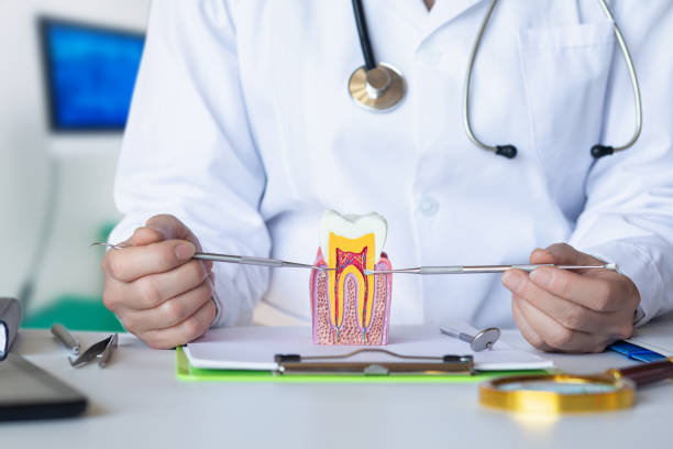 Best Emergency Broken Tooth Repair in Clarks Summit, PA